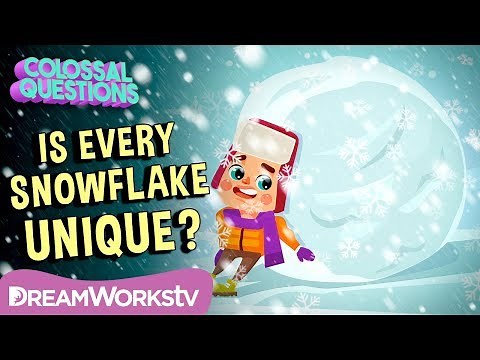 Is Every Snowflake Unique? | COLOSSAL QUESTIONS