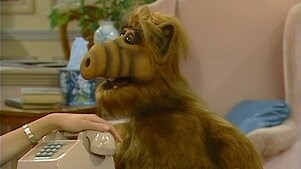ALF: Season 1 Episode 18 Wild Thing