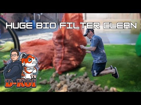 Koi Pond Maintenance – Bio Filter Deep Clean