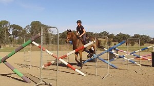 WATCH: Ever wondered what our fantastic network of Acknowledged Retrainers do? Find out more here, or get in touch with one of them https://www.racingvictoria.com.au/the-horse/off-the-track/getting-a-horse/retrainer-information | Off The Track