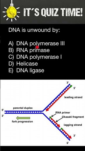 DNA polymerase III, Primase, DNA polymerase I, Helicase, Ligase