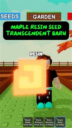 MAPLE RESIN seed transcendent baru #shorts #roblox #growagarden #feros