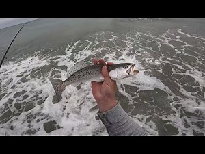 Catching Speckled Trout from the Surf Zone: Emerald Isle, North Carolina