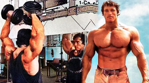 Arnold Press: Target Deltoids, Traps, Triceps & Serratus