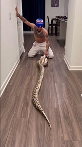 Feeding My Biggest Snake Rocky A Rabbit! 🐇🐍 #snake #python #animals