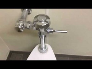 American Standard Madera toilets at Walgreens