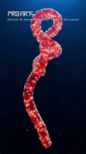 Ebola Virus Pathogen - 4K Scientifically Informed Medical Stock Footage