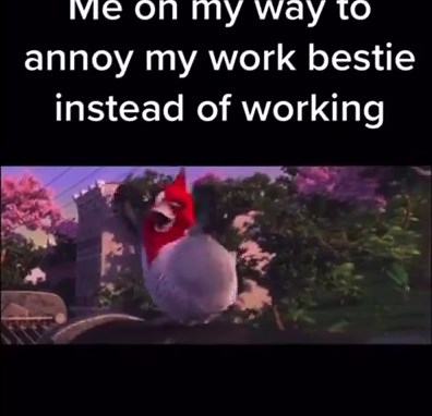 9K views · 62 reactions | Funny Work Memes on Reels | Facebook