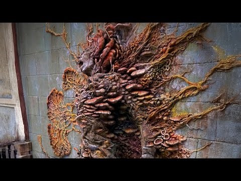 Strange Mutations Discovered In Chernobyl That Will Scare You