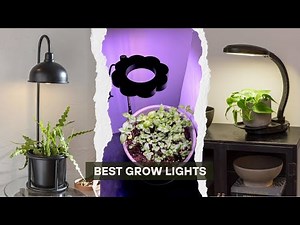 6 Best Grow Light 2025! From Seed to Harvest