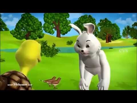 Hichi pinch hawa.හිංචි පිංචි හාවා