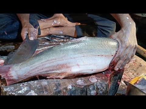 Professional Fish Cutting Live | Step-by-Step Process