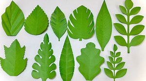 11 Ways To Make Leaves for Paper Flowers - Paper Leaves