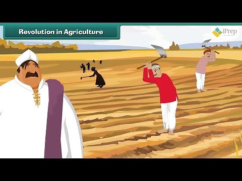 Class 5 EVS Chapter - 19 "A seed tells a Farmer's Story" english Environmental Looking Around