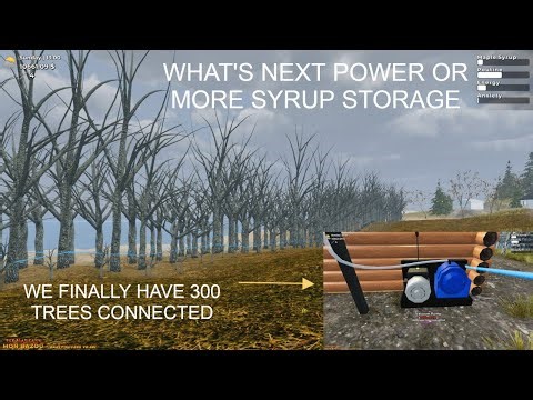 Mon Bazou 300 Maple Trees Reached! Storage Upgrade or More Power Next?