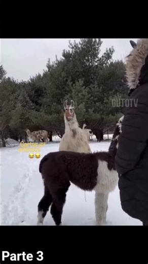 21 de dezembro de 2025