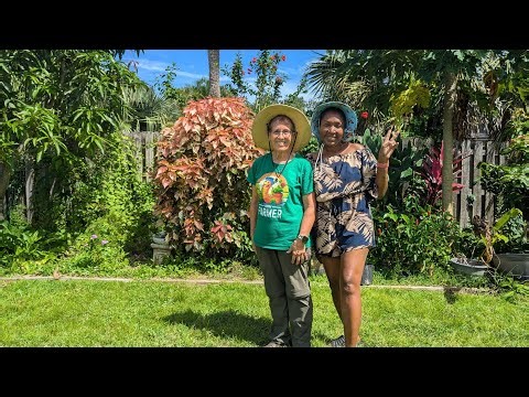 Worm Casting Tea - Perfect Organic Solution for Pest Prevention - Why this works!