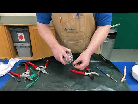 How to Sharpen Pruning Tools