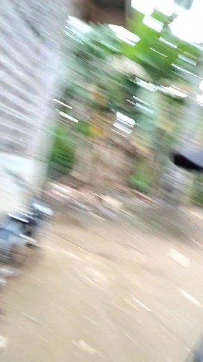 Cellphone Order Shoppe | Dejie Tvblog