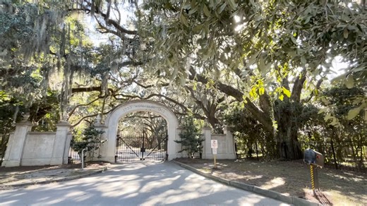 4.2K views · 32 reactions | Looking for a trip with history, beauty, and a few ghost stories along the way? Savannah is one of our top Georgia getaways this year. Tap the link to start planning your visit. https://bit.ly/4pWWabf | Explore Georgia | Facebook