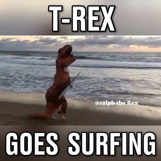8.8M views · 82K shares | Ralph The Rex tries to surf!  | LADbible | Facebook