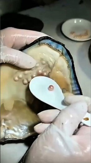 What is Pearl Culturing Technique? #shorts