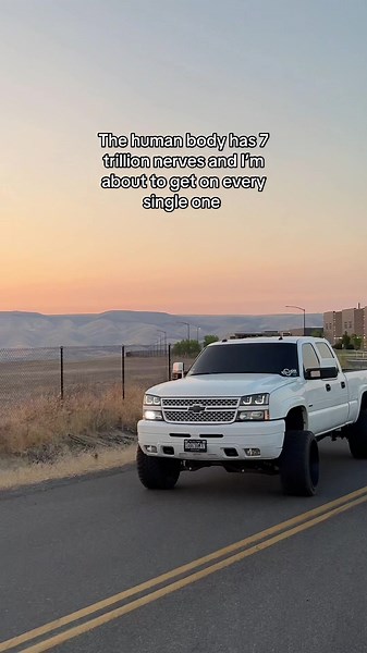 Exploring the 7 Trillion Nerves of the Human Body