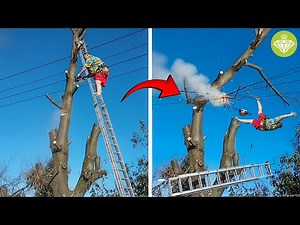 Idiots With Chainsaws: Tree Cutting Fails | Tree Falling on House #1