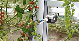 Harvesting Robots Are Making Big Leaps at the Right Time | Built In