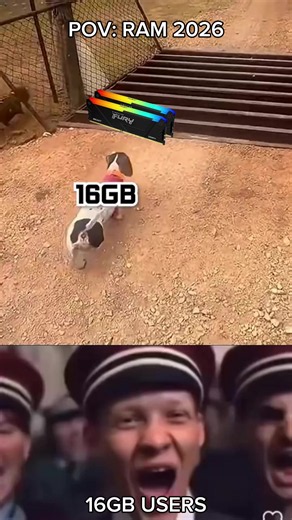 16GB USERS #pc #gamingpc #pcgaming #pcgamer #fyp | pc