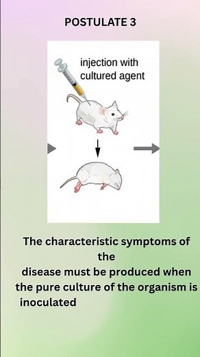 📚 Koch’s Postulates: Foundations of Microbial Pathogenesis Explained