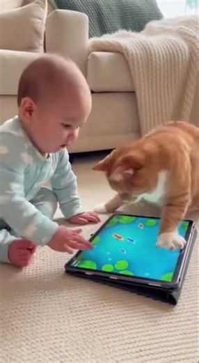 Adorable baby and cat play together with an iPad game