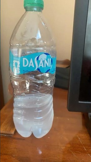 elmo world parrots baby