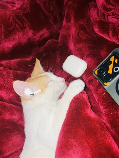 Unlock Your Account: Tips and Tricks for Recovery