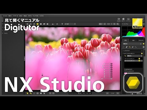 NX Studio #3 カラーコントロールポイントを使った画像編集｜ニコン公式 Digitutor