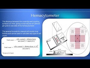 ASCP | MLS | MLT | Hematology | manual, and semi-automated testing in Hematology