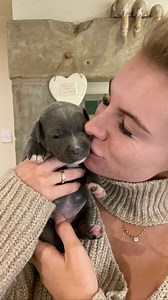 3.7K views · 10K reactions | We are helping Boo out by topping up the...