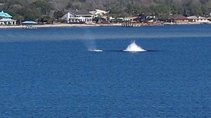 4.2K views · 86 reactions |  Eglin AFB, local, joint partners, to...