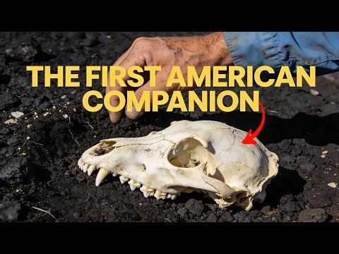 DNA of Ancient Dogs Reveals Where The First Americans Really Came From