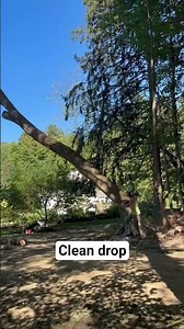 Bore Cut → Back Cut Trigger! | Ohio Tree Removal