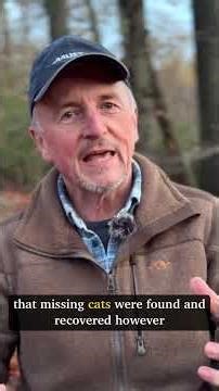 betrayed by the BBC #BBC #cats #petdetective