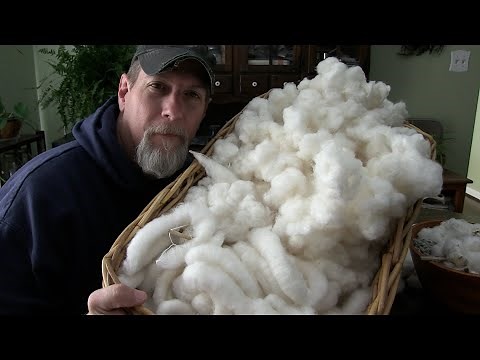 How We're Processing Our Home Grown Cotton