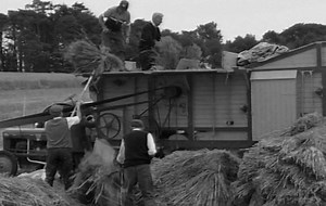 15K views · 246 reactions | Farming in the Olden Days -- Threshing in Co. Down, N.Ireland Check out our dvds at www.farmingvideoshop.com | Videos of Irish Farming Life | Facebook