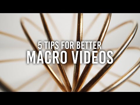 5 Macro Videography Tips with Steve Giralt