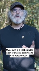 7.2K views · 1K reactions | Mycelium is a vast cellular network with a significant ecological impact. The activities of mycelium help heal and steer ecosystems on their evolutionary path. By cycling nutrients through the food chain, mycelial networks benefit the soil that allows plants and animals to survive and thrive. #mycelium #mycelialnetwork #biodiversity #paulstamets | Fungi Perfecti | Facebook