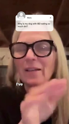 14 reactions · 7 comments | Does your dog have IBD?  Do they eat a...