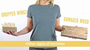 15K views · 71 reactions | Do you know how to spot the difference between a termite and a flying ant? Watch this short video to find out! | PestWorld | Facebook