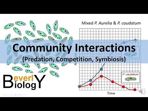 Community Interactions (Competition, Predation, Symbiosis)