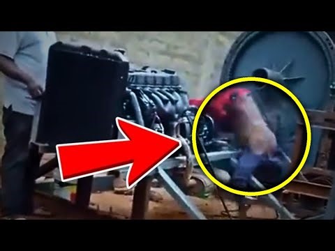 💀 FATAL ROLLER MACHINE ACCIDENT