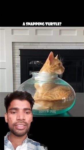 mini cats video😱😱 #shortsfeed #shorts